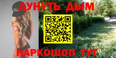 сатива Кимры