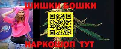 прущие крисы Камышлов